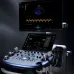 Mindray Vetus 9 УЗИ-сканер с цветным доплером